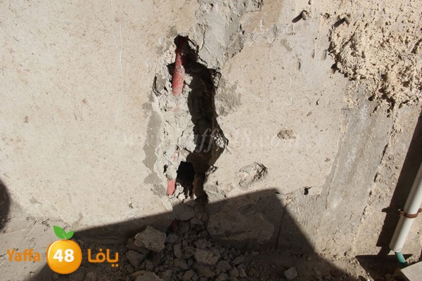 zaytoon house 0227 (46).JPG